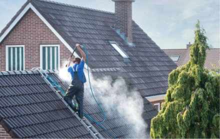 Roof Washing