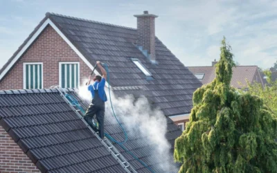 Woodlands Window Cleaning & Pressure Washing Service, LLC. | Why Luxury Homeowners Choose Professional Roof Cleaning Why Luxury Homeowners Choose Professional Roof Cleaning