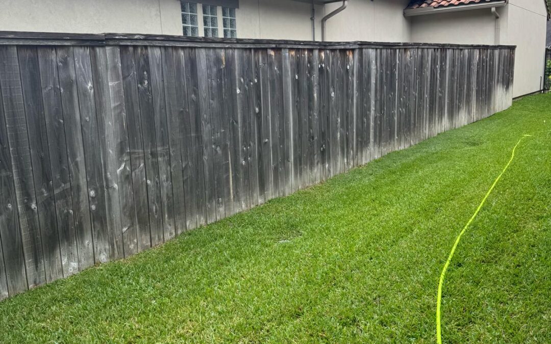 Patio Pressure Washing for Outdoor Entertainment Spaces
